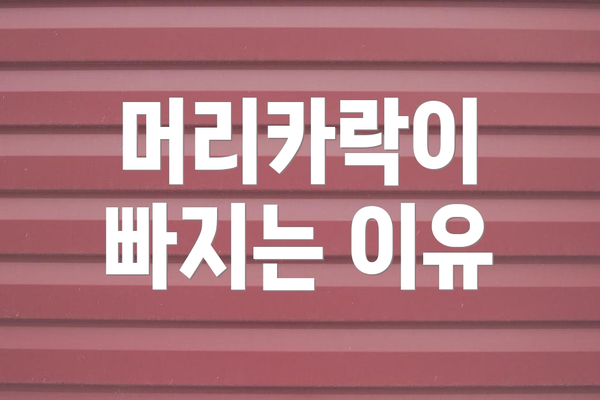 머리카락이 빠지는 이유