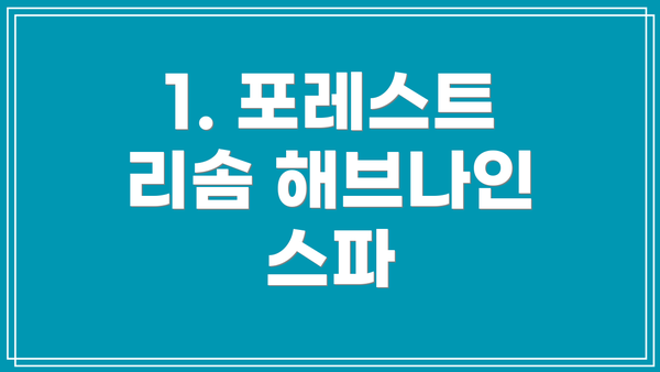 1. 포레스트 리솜 해브나인 스파
