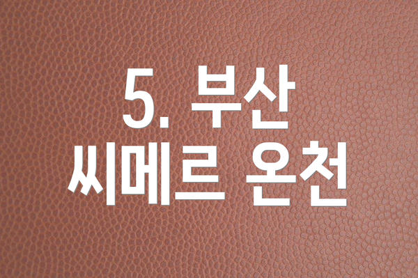 5. 부산 씨메르 온천