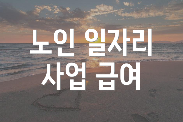 노인 일자리 사업 급여