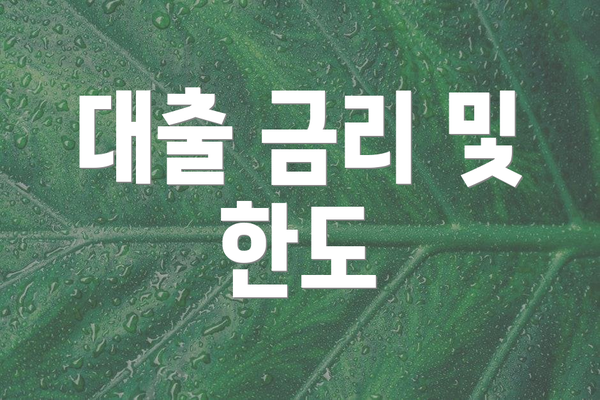 대출 금리 및 한도