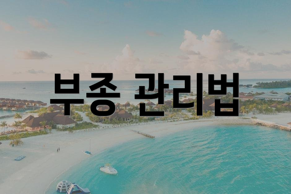 부종 관리법