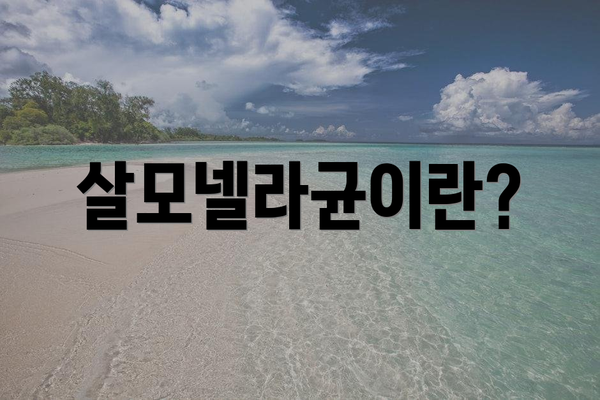 살모넬라균이란?