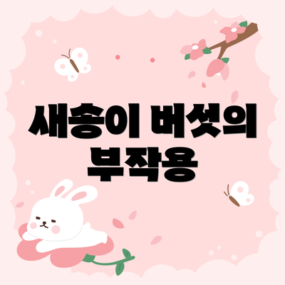 새송이 버섯의 부작용
