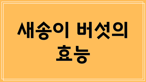 새송이 버섯의 효능