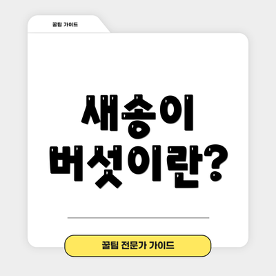 새송이 버섯이란?