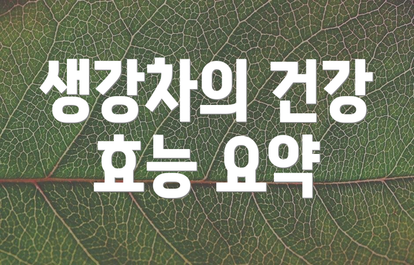 생강차의 건강 효능 요약
