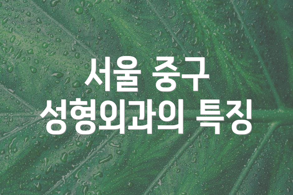 서울 중구 성형외과의 특징