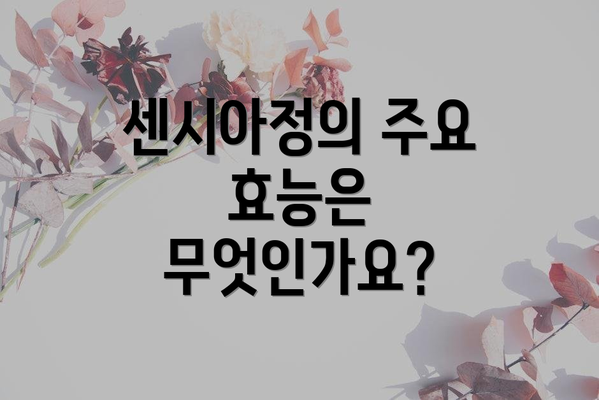 센시아정의 주요 효능은 무엇인가요?