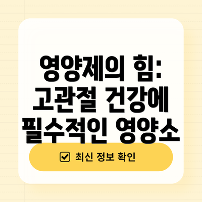 영양제의 힘: 고관절 건강에 필수적인 영양소