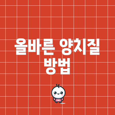 올바른 양치질 방법