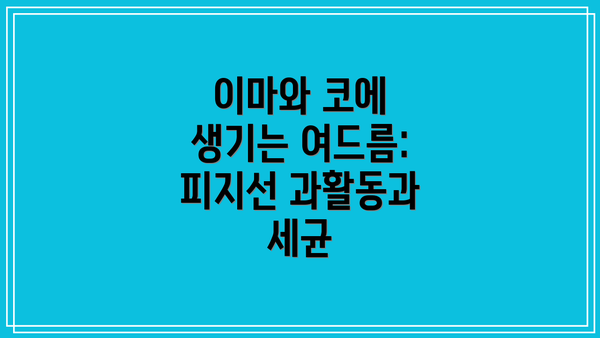 이마와 코에 생기는 여드름: 피지선 과활동과 세균