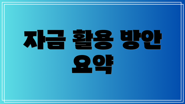 자금 활용 방안 요약