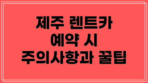 제주 렌트카 예약 시 주의사항과 꿀팁