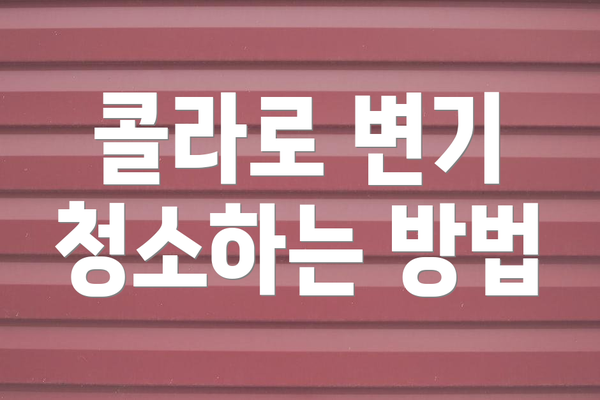 콜라로 변기 청소하는 방법