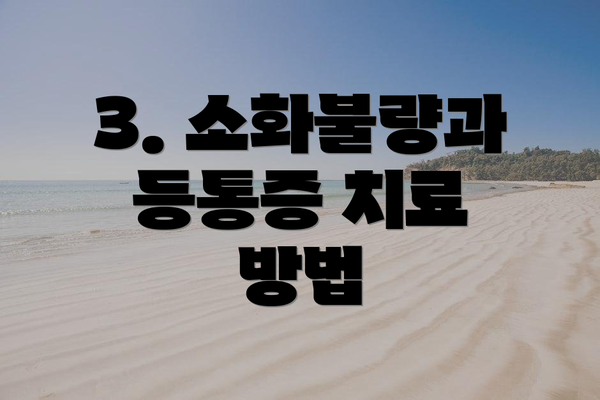 3. 소화불량과 등통증 치료 방법
