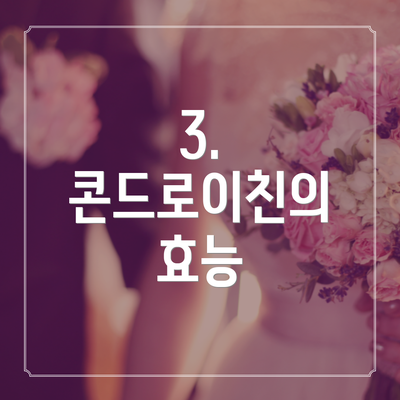 3. 콘드로이친의 효능