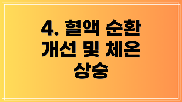 4. 혈액 순환 개선 및 체온 상승