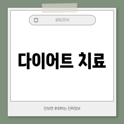 다이어트 치료