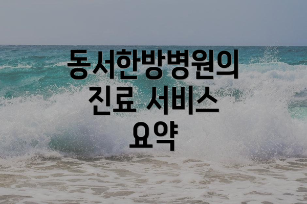 동서한방병원의 진료 서비스 요약