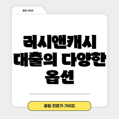 러시앤캐시 대출의 다양한 옵션
