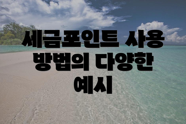 세금포인트 사용 방법의 다양한 예시