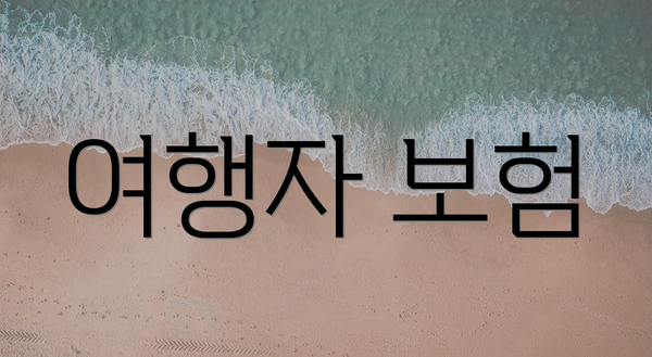 여행자 보험