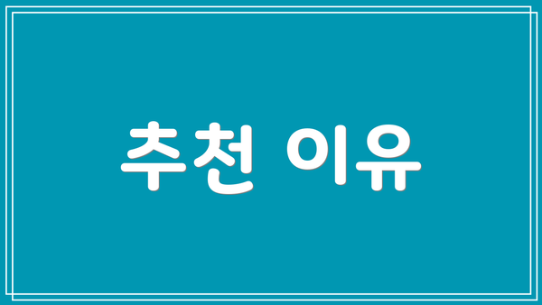 추천 이유