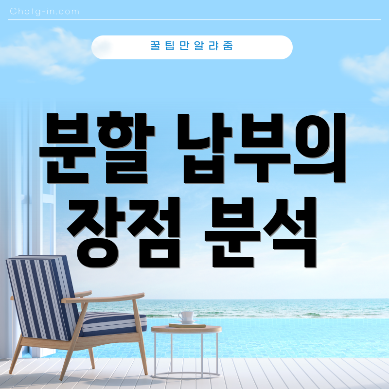 분할 납부의 장점 분석