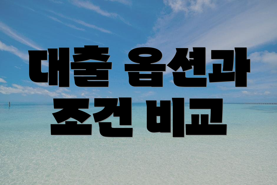 대출 옵션과 조건 비교