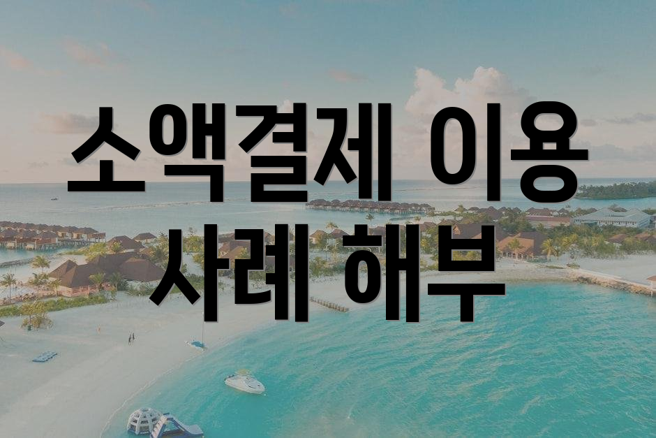 소액결제 이용 사례 해부