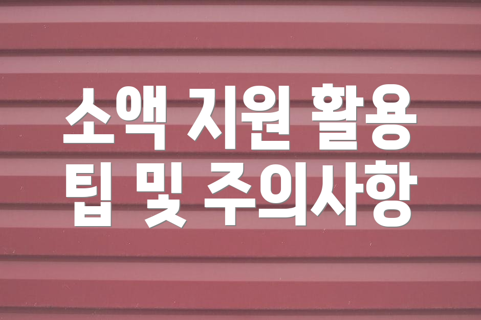 소액 지원 활용 팁 및 주의사항