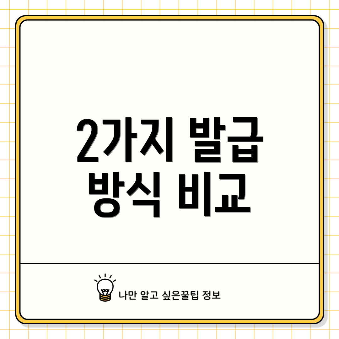 2가지 발급 방식 비교