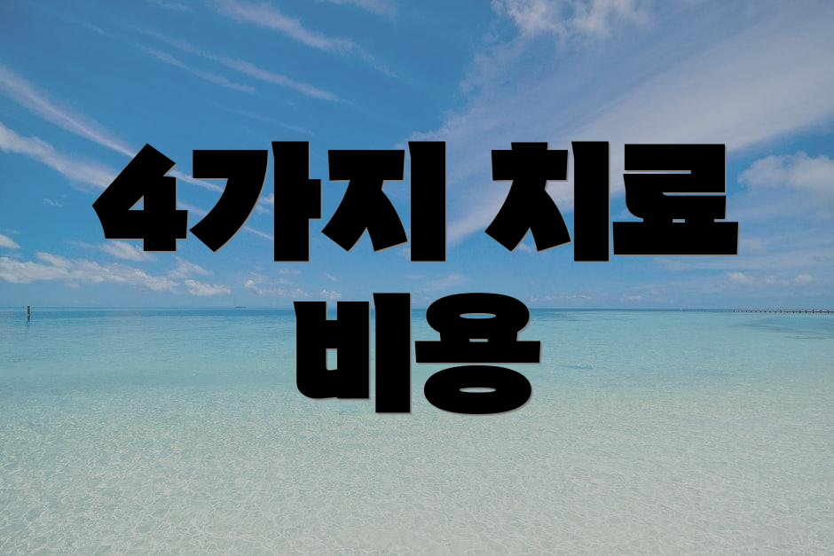 4가지 치료 비용