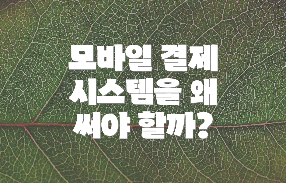 모바일 결제 시스템을 왜 써야 할까?