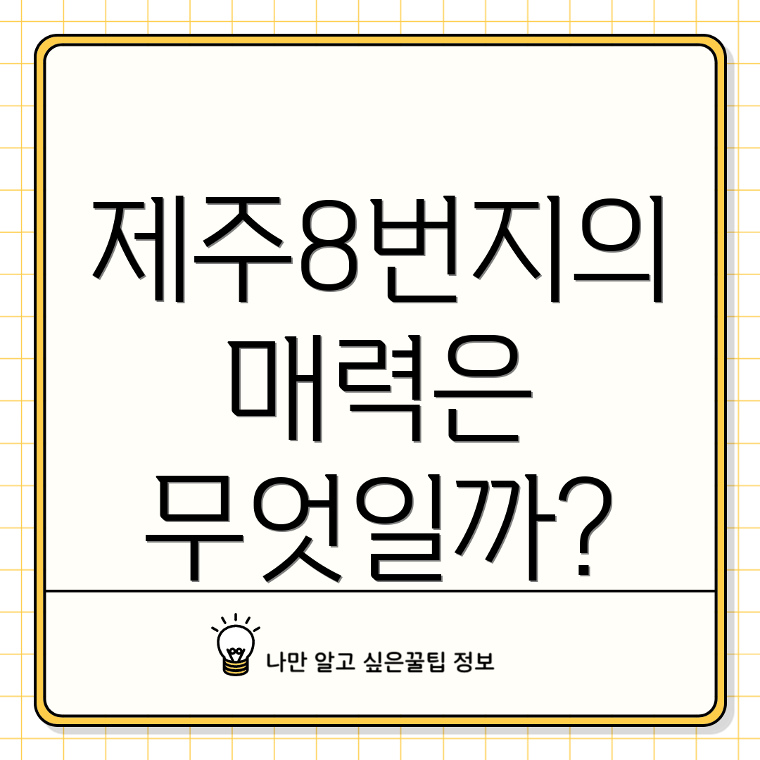 제주8번지의 매력은 무엇일까?