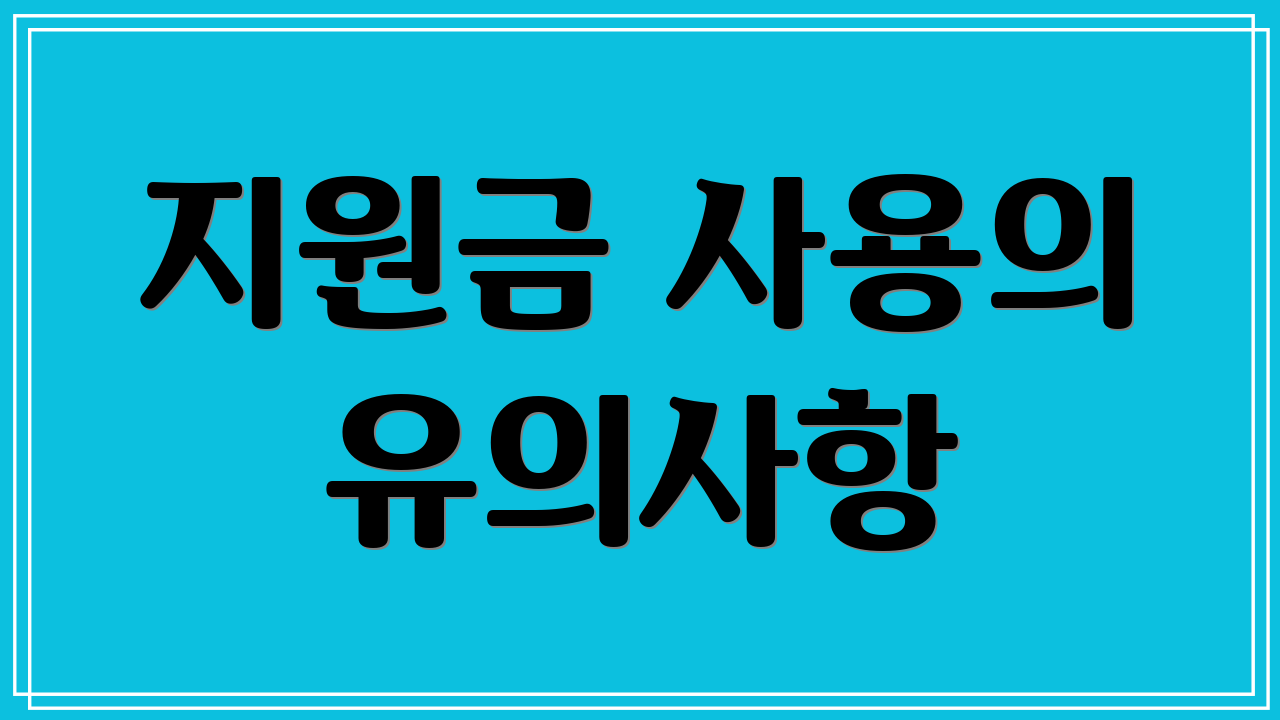 지원금 사용의 유의사항