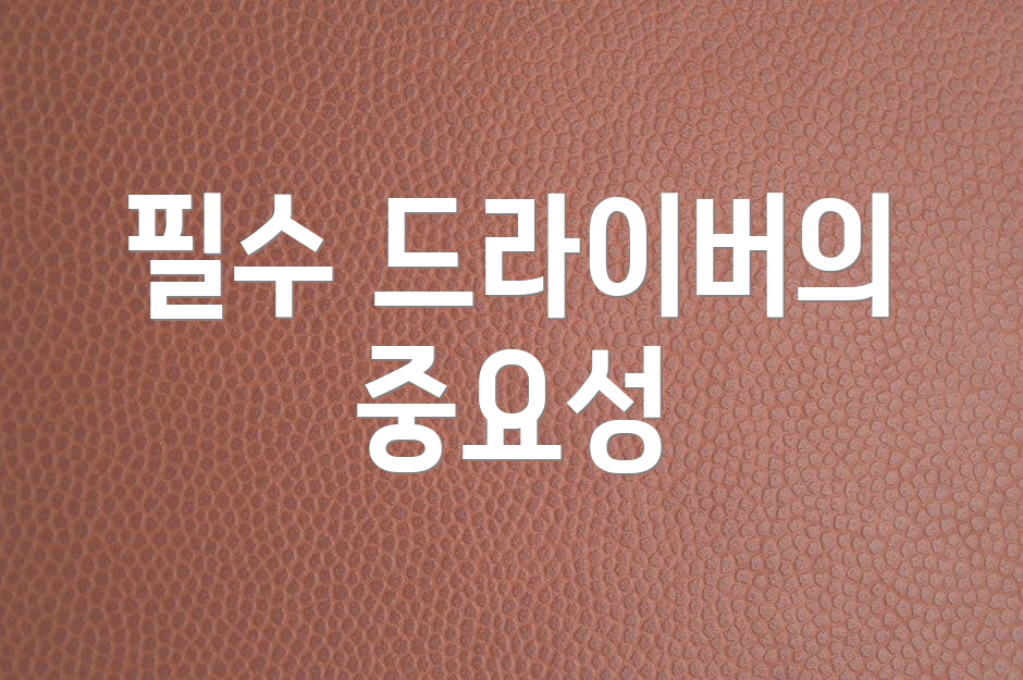 필수 드라이버의 중요성