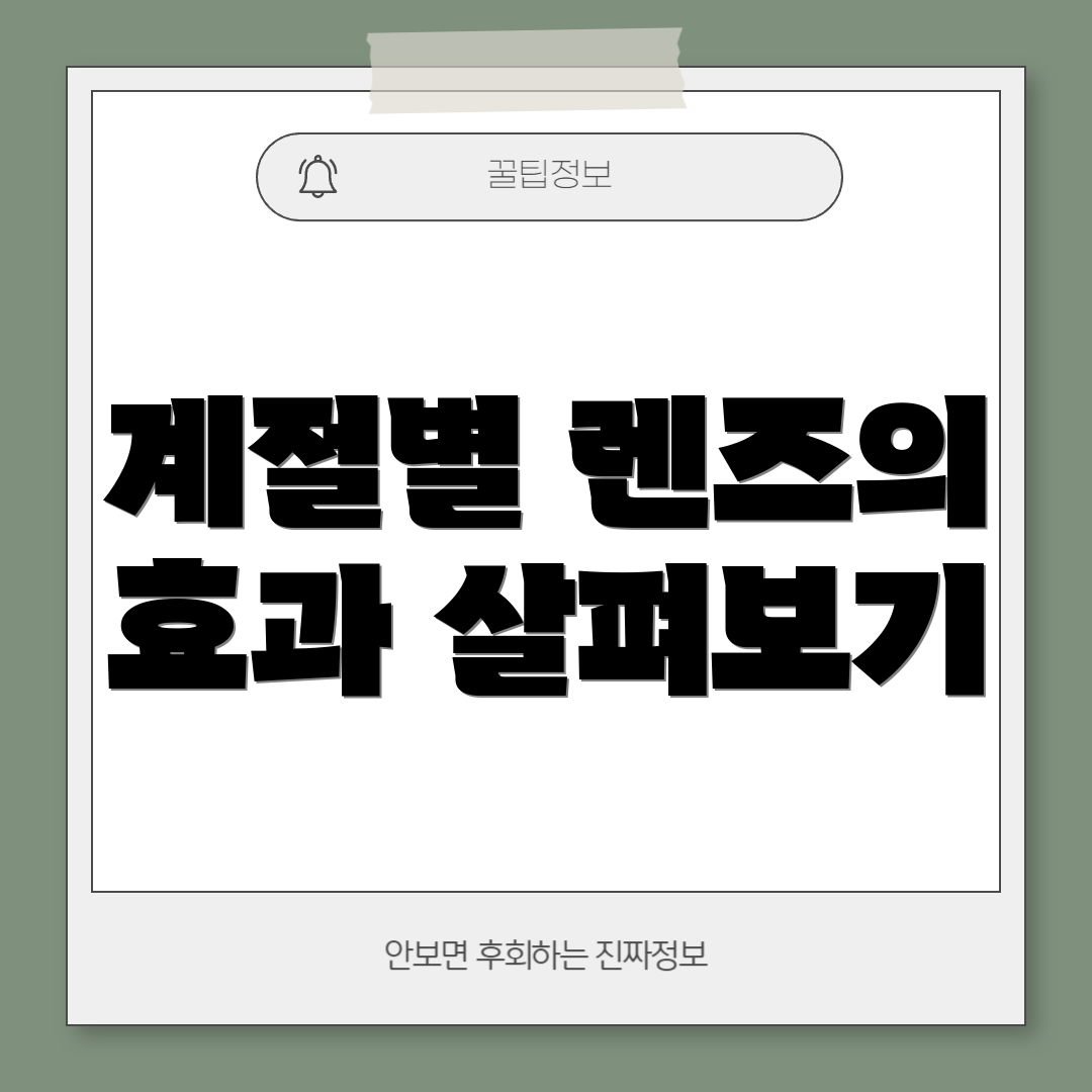계절별 렌즈의 효과 살펴보기
