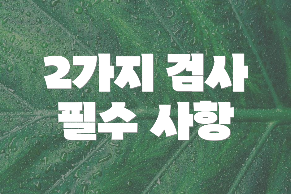 2가지 검사 필수 사항