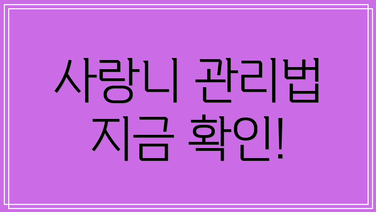 사랑니 관리법 지금 확인!