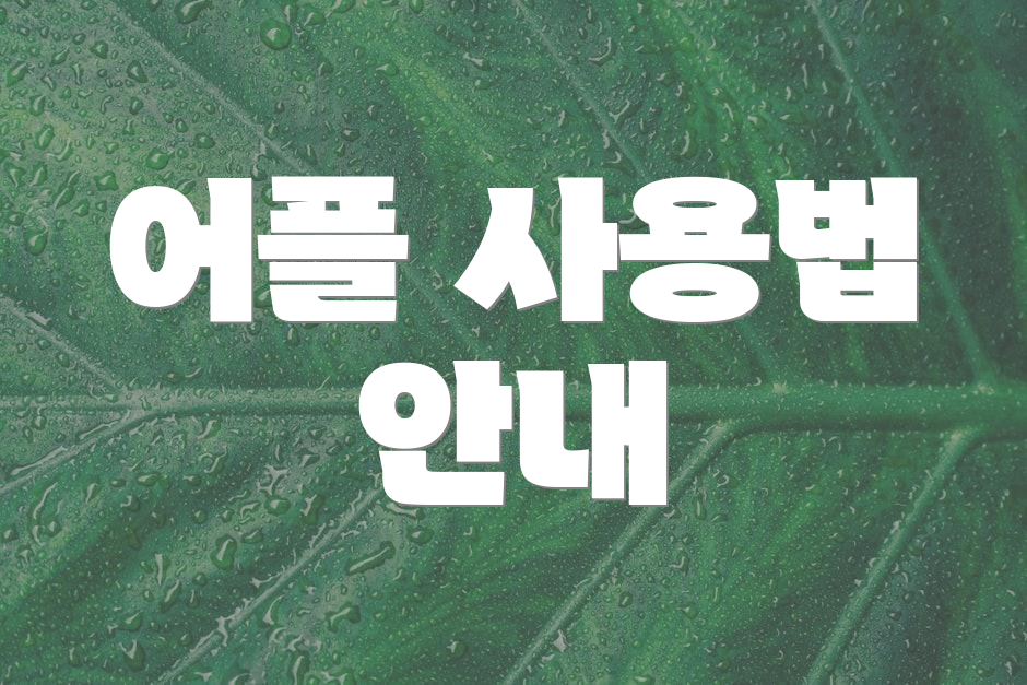 어플 사용법 안내