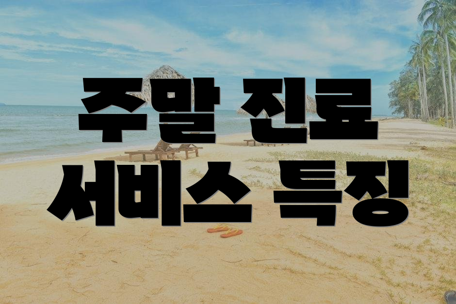 주말 진료 서비스 특징