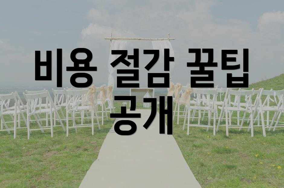비용 절감 꿀팁 공개