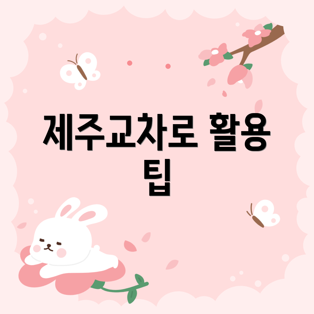 제주교차로 활용 팁
