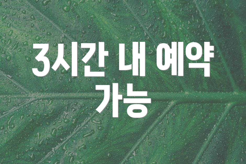 3시간 내 예약 가능