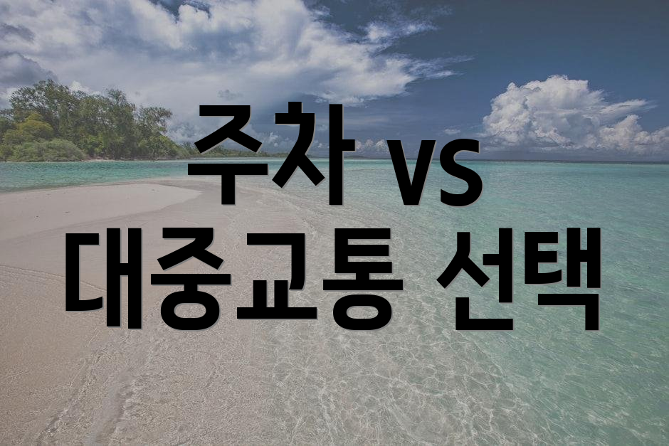 주차 vs 대중교통 선택
