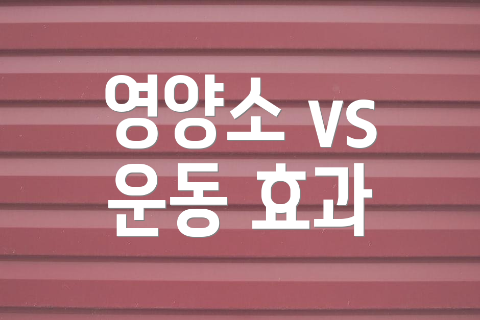 영양소 vs 운동 효과