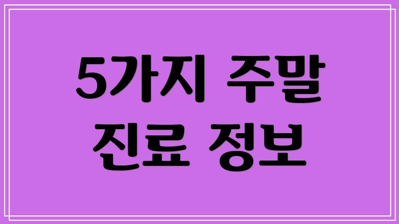 5가지 주말 진료 정보