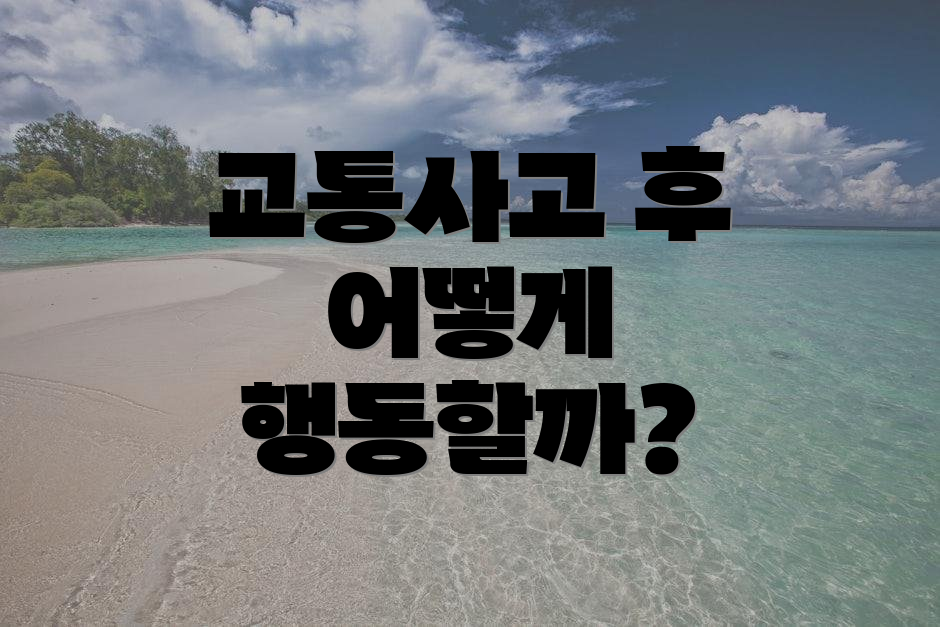 교통사고 후 어떻게 행동할까?